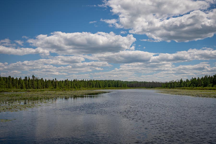 voyageurs national park near pelican lake