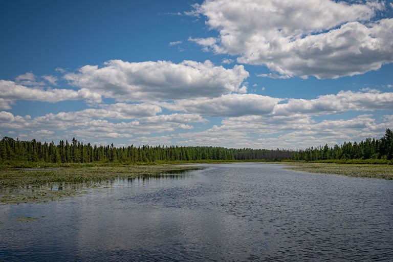 Northern MN Nature & Wildlife Gallery Orr Pelican Lake